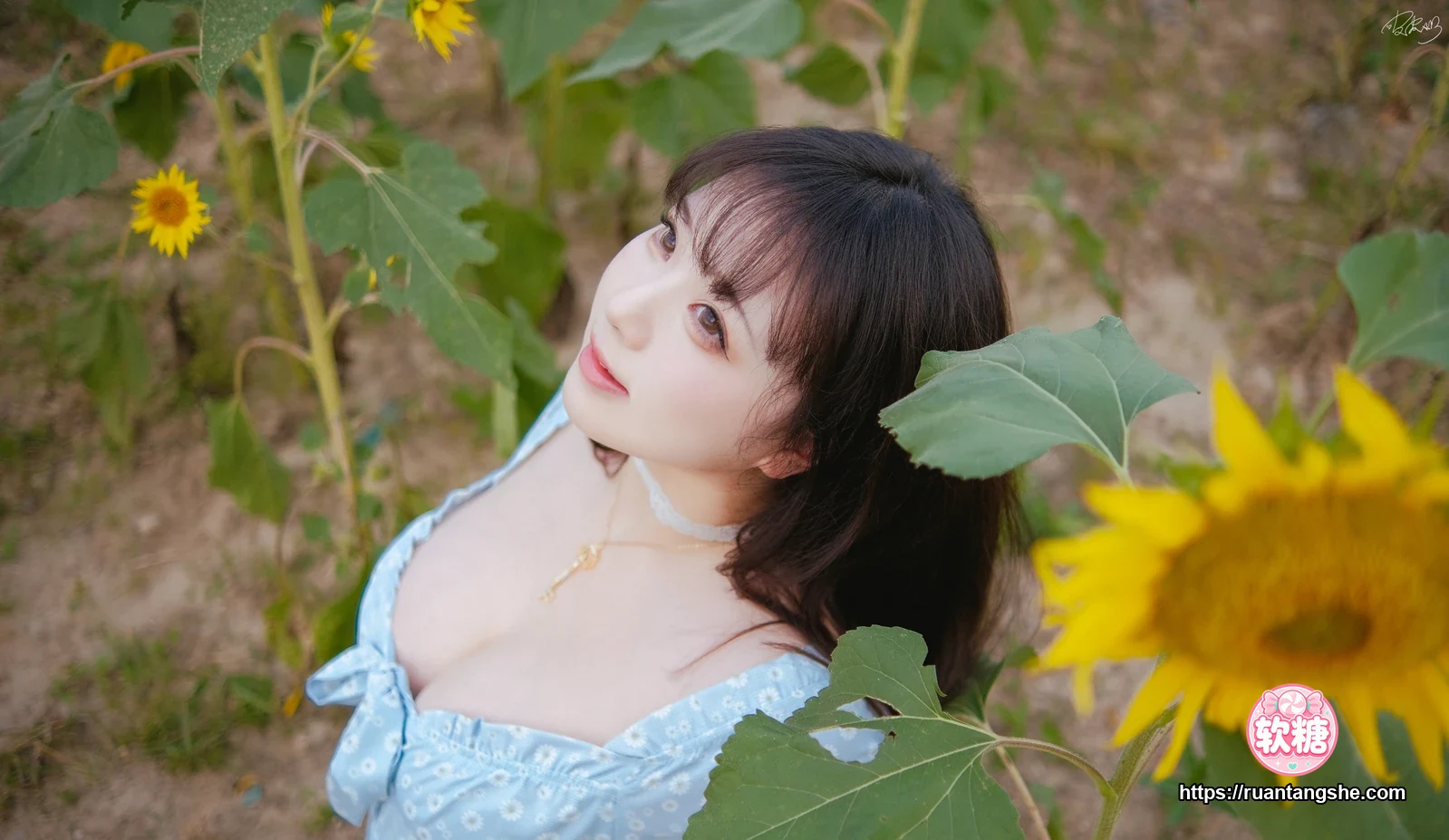 皮皮奶 皮皮奶 NO.054 - 彼女向日葵