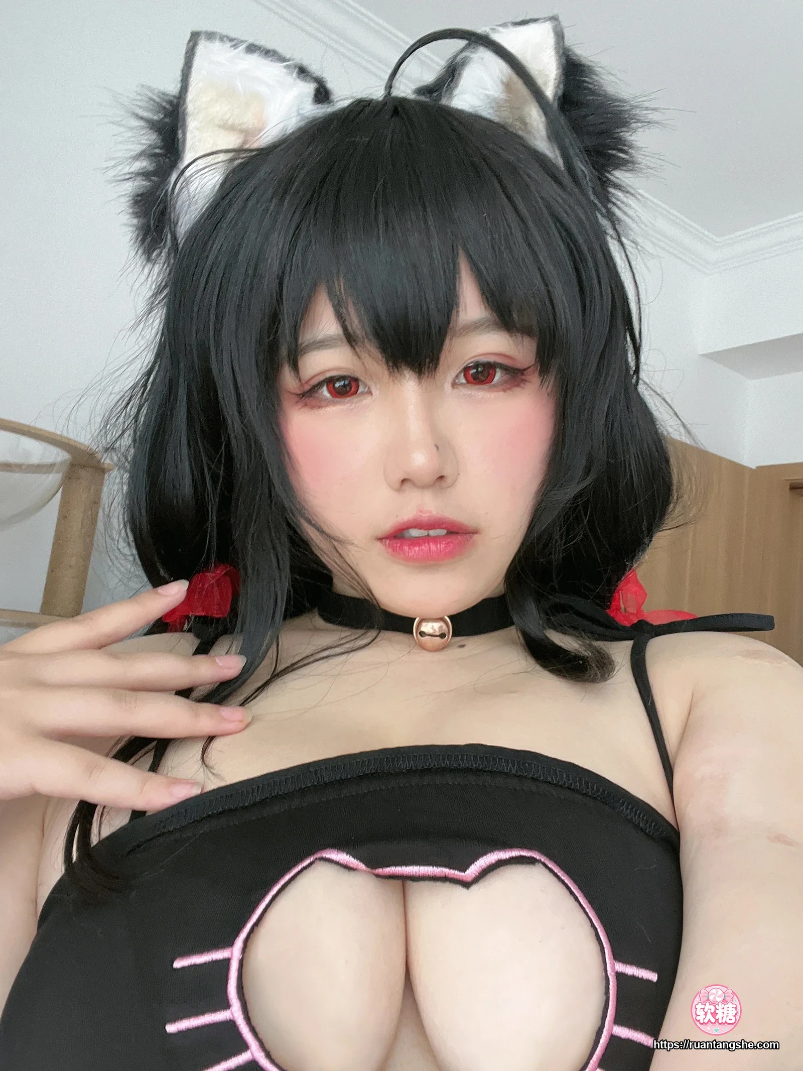 阿半今天很开心 阿半今天很开心 NO.058 - 碧蓝航线 大凤猫猫