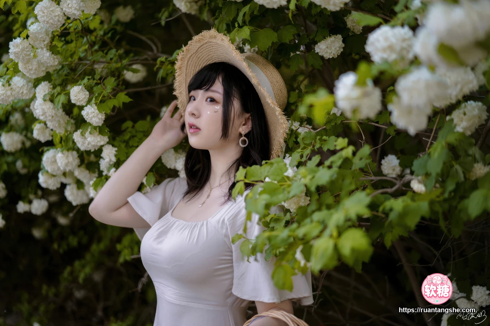 皮皮奶 皮皮奶 NO.067 - 绣球花
