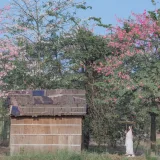 桜桃喵《温柔×4》写真图集 53P｜在线预览与图包下载