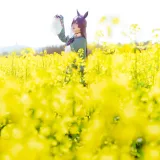 星之迟迟《2024年07月计划G 赠品 赛马娘 里见光钻 梦想的回应》写真图集 48P+1V｜在线预览与图包下载