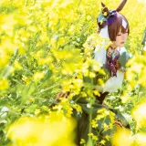 星之迟迟《2024年07月计划G 赠品 赛马娘 里见光钻 梦想的回应》写真图集 48P+1V｜在线预览与图包下载