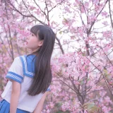 萌芽儿o0《樱花jk》写真图集 30P｜在线预览与图包下载