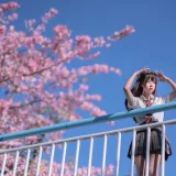 萌芽儿o0《异木棉花》写真图集 26P｜在线预览与图包下载