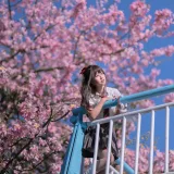 萌芽儿o0《异木棉花》写真图集 26P｜在线预览与图包下载