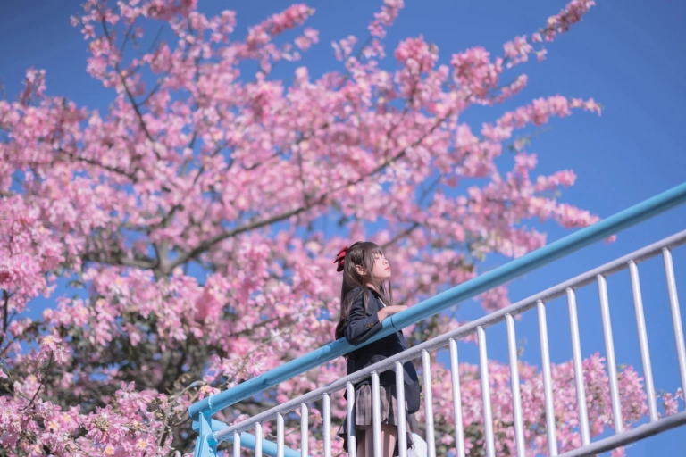萌芽儿o0《异木棉花》写真图集 26P｜在线预览与图包下载