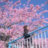 萌芽儿o0《异木棉花》写真图集 26P｜在线预览与图包下载