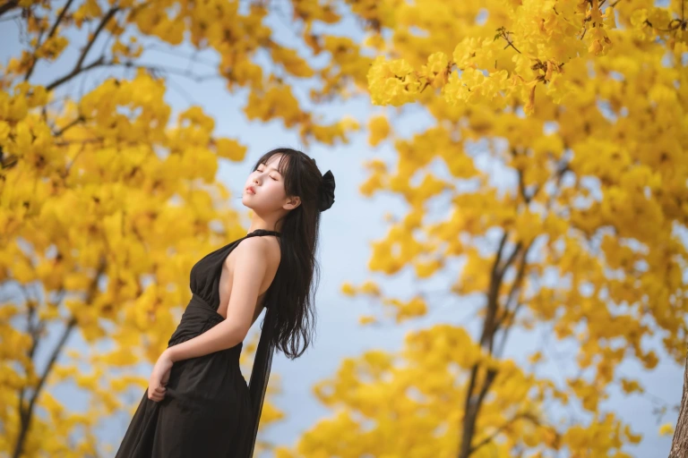 萌芽儿o0《秋有银杏 春有黄风铃》写真图集 23P｜在线预览与图包下载