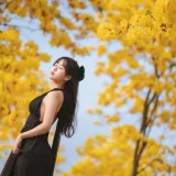 萌芽儿o0《秋有银杏 春有黄风铃》写真图集 23P｜在线预览与图包下载