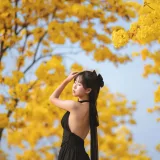萌芽儿o0《秋有银杏 春有黄风铃》写真图集 23P｜在线预览与图包下载