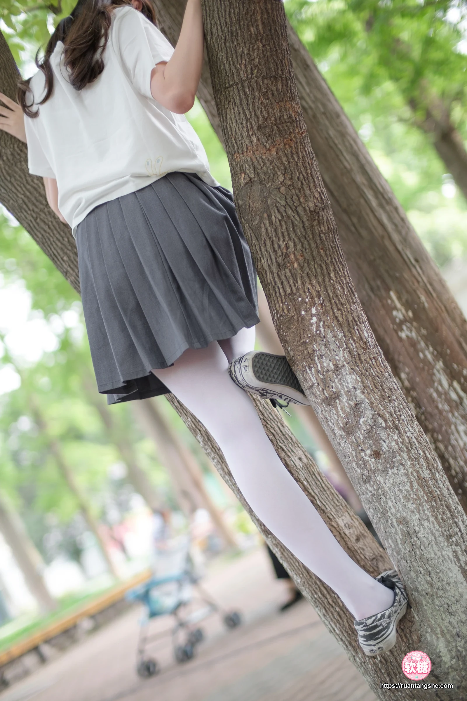 森萝财团 R15-014