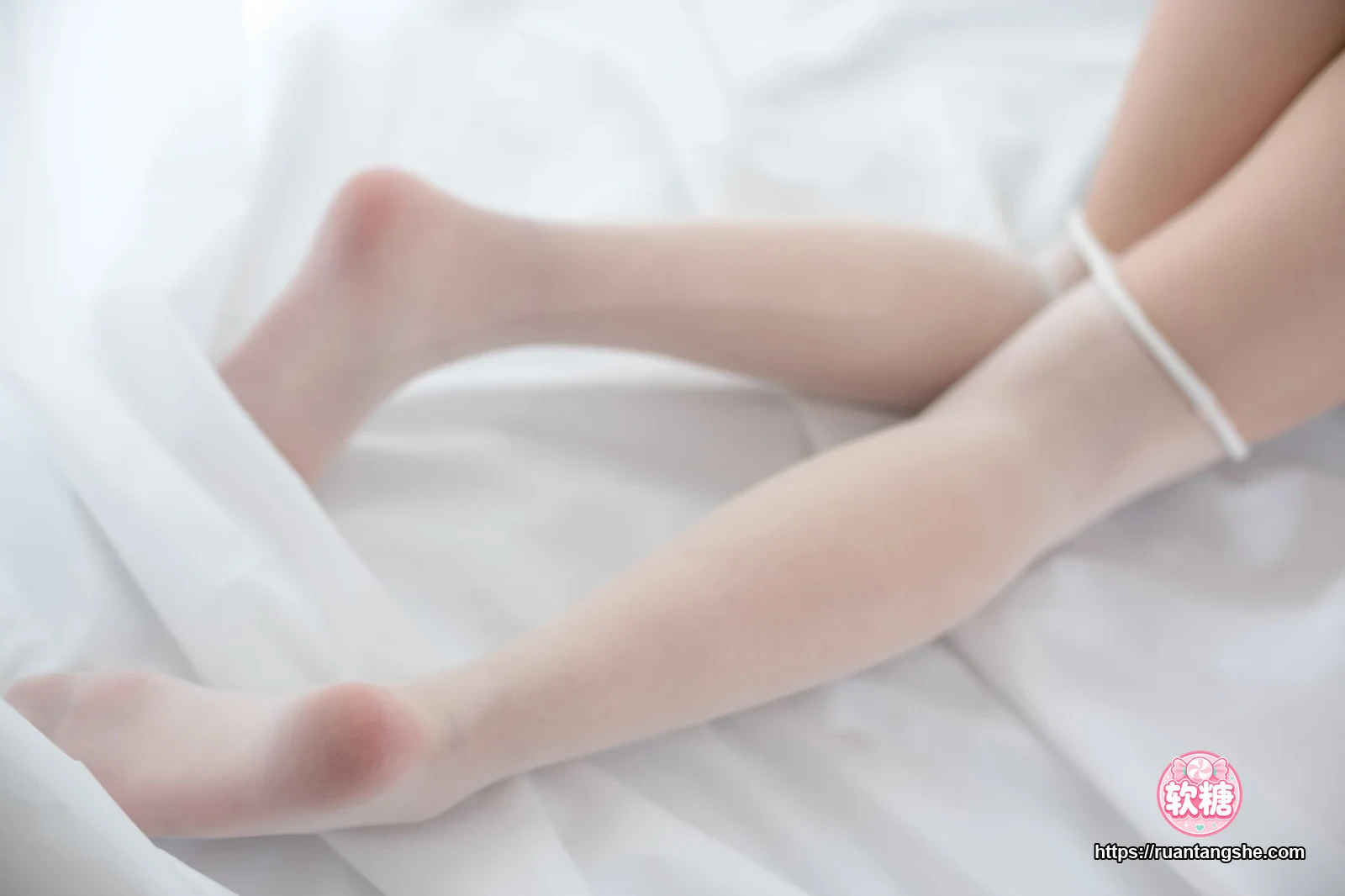 森萝财团 R15-046