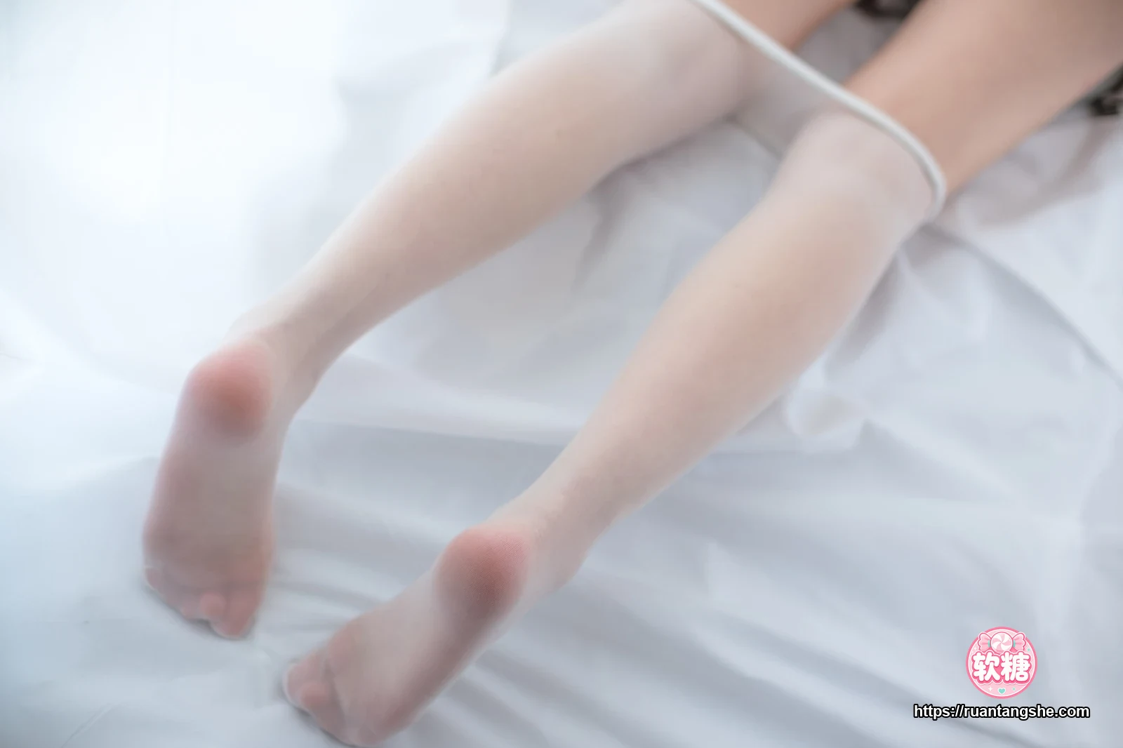 森萝财团 R15-046