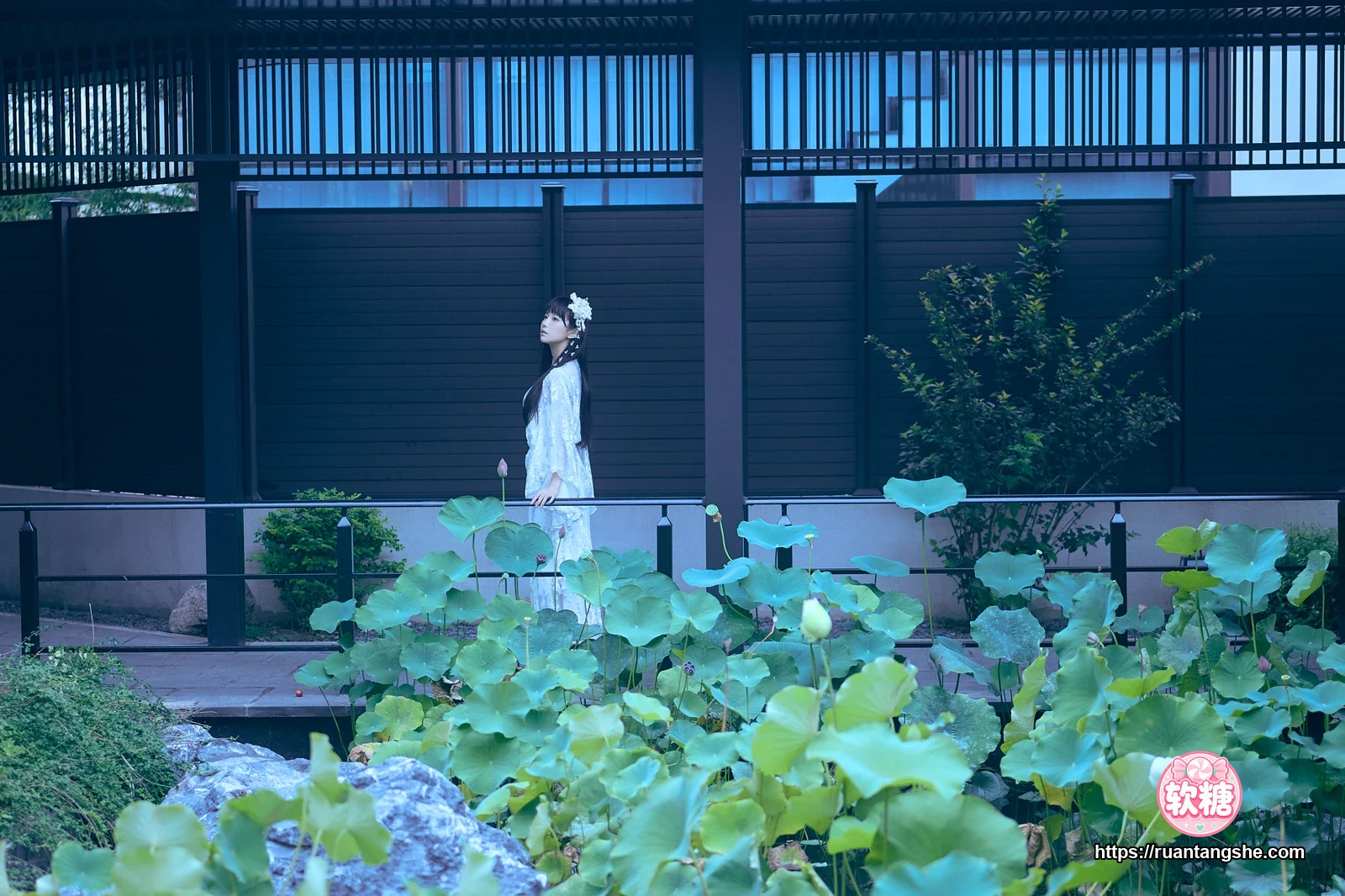 Shika小鹿鹿 Shika小鹿鹿 NO.115 - 新中式