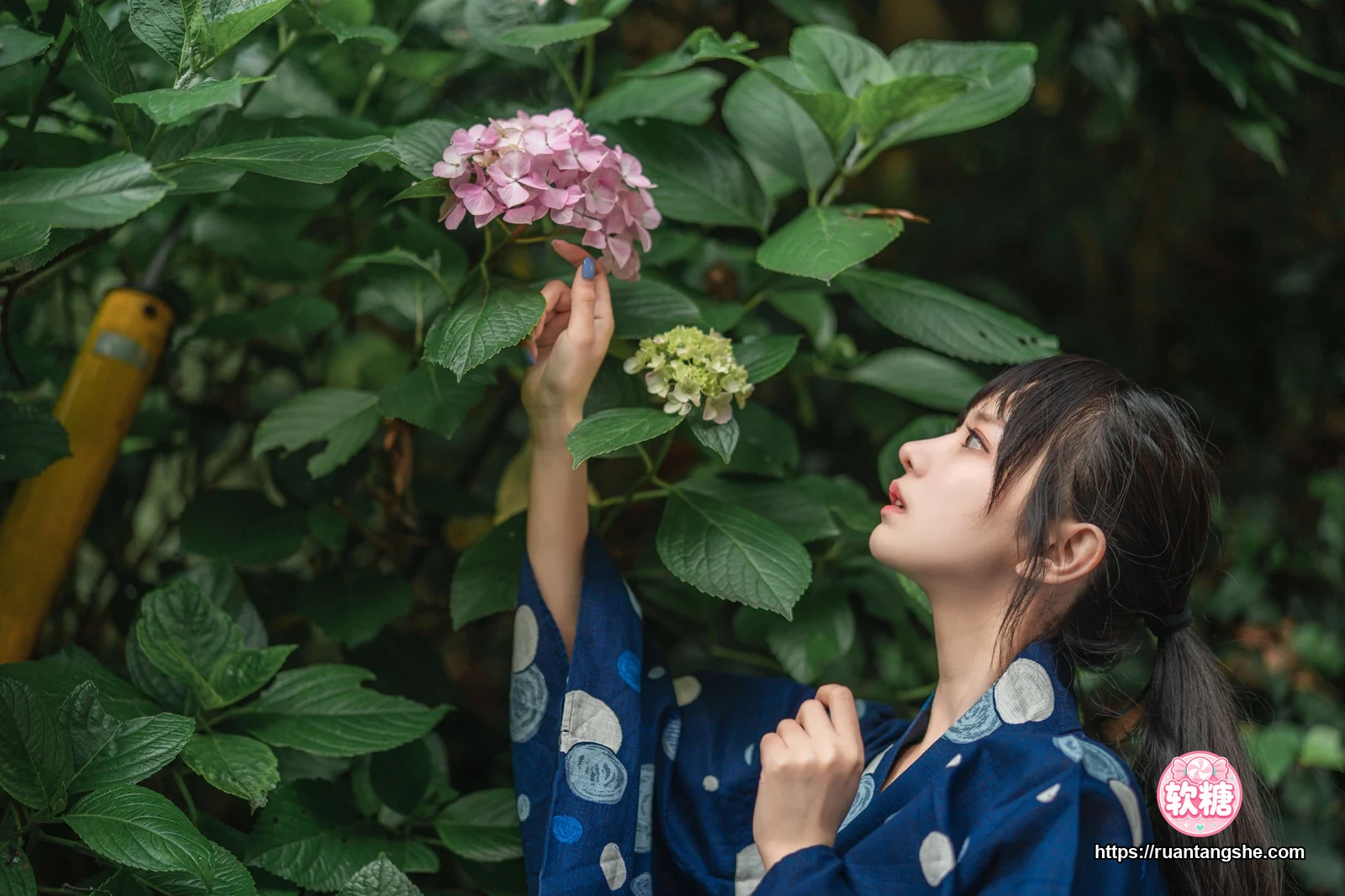 Shika小鹿鹿 Shika小鹿鹿 NO.23 - 镰仓江之岛（旅拍）