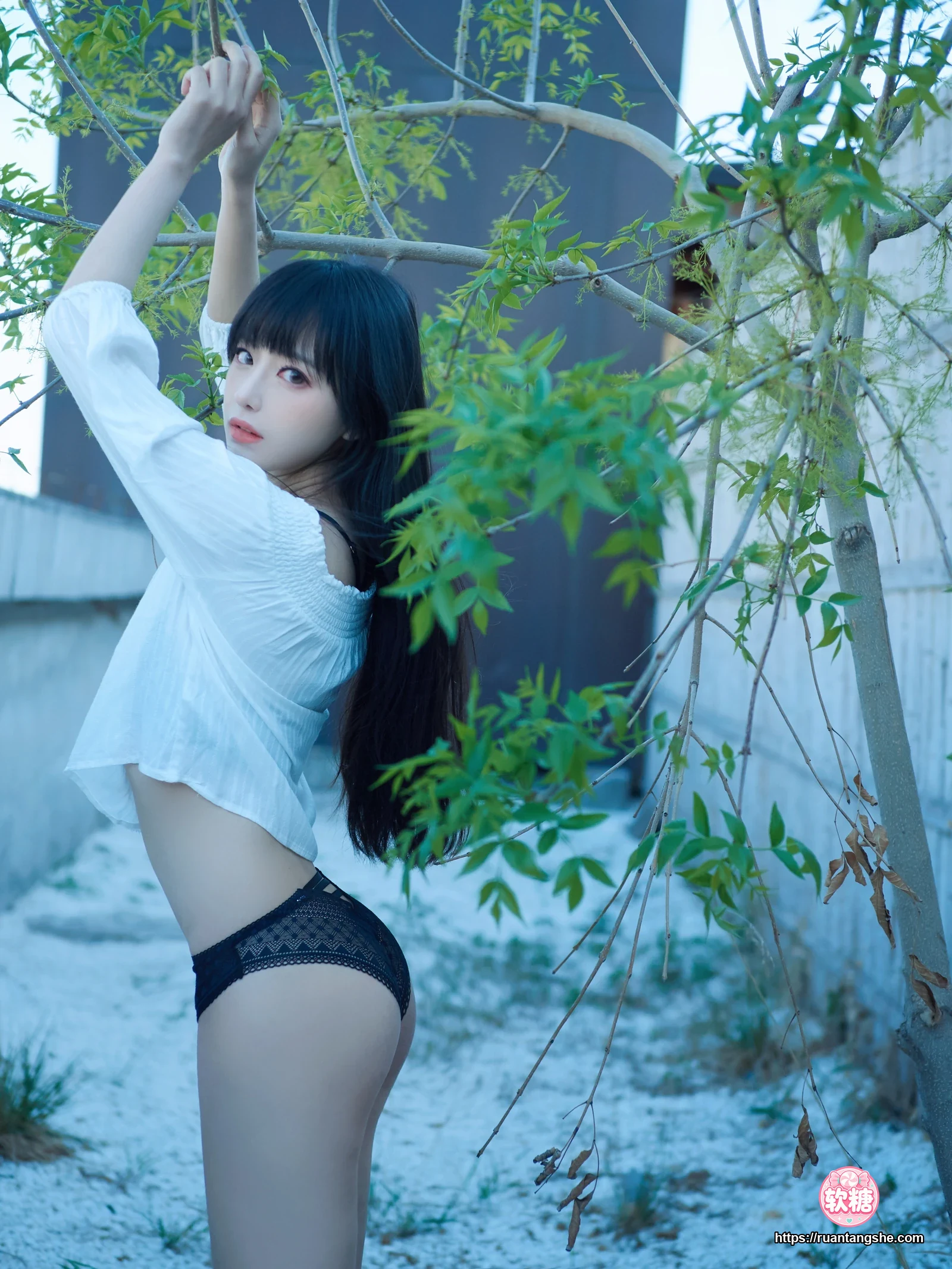 Shika小鹿鹿 Shika小鹿鹿 NO.31 - 启蛰套(9套)