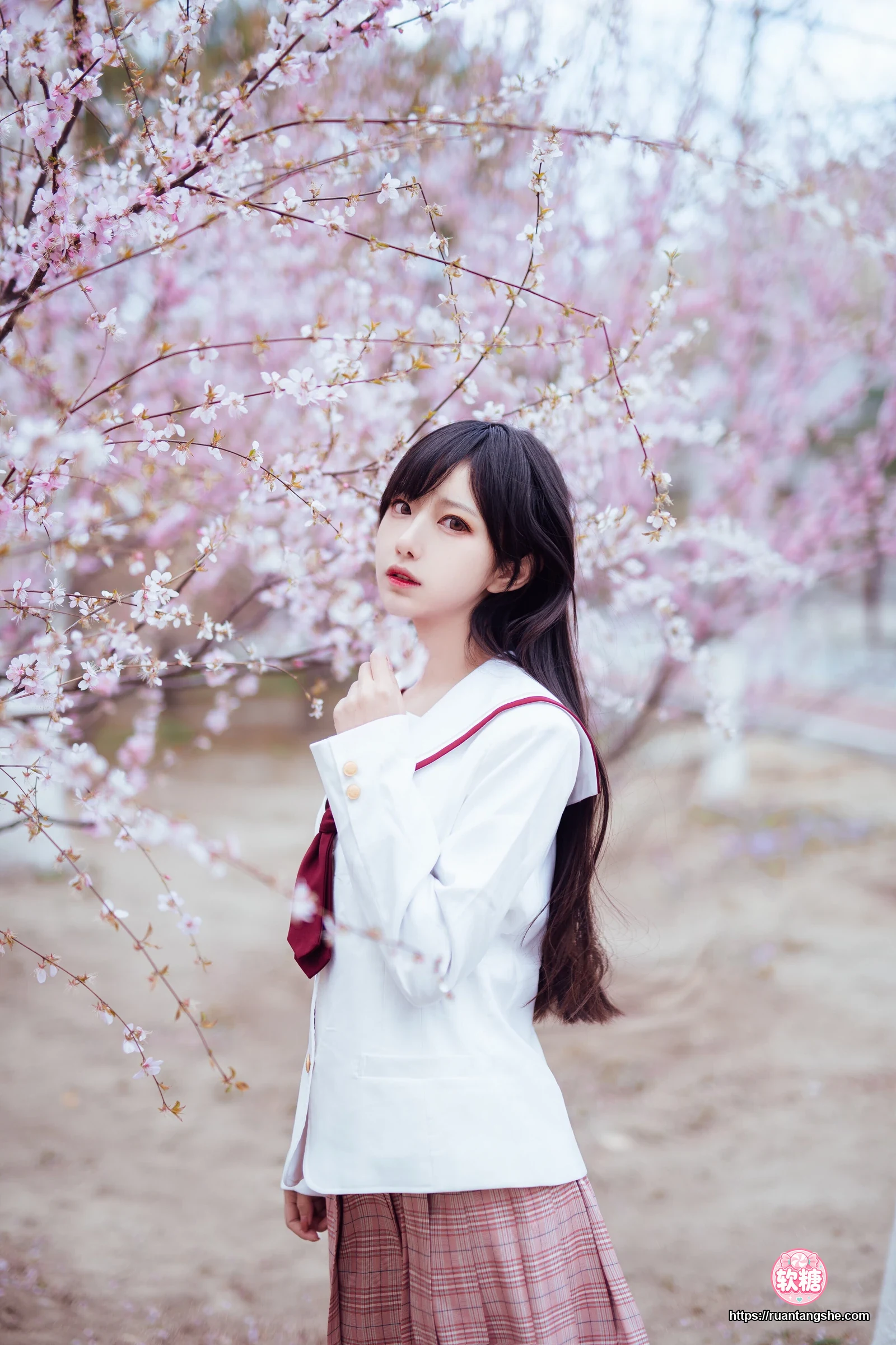 Shika小鹿鹿 Shika小鹿鹿 NO.49 - 樱花