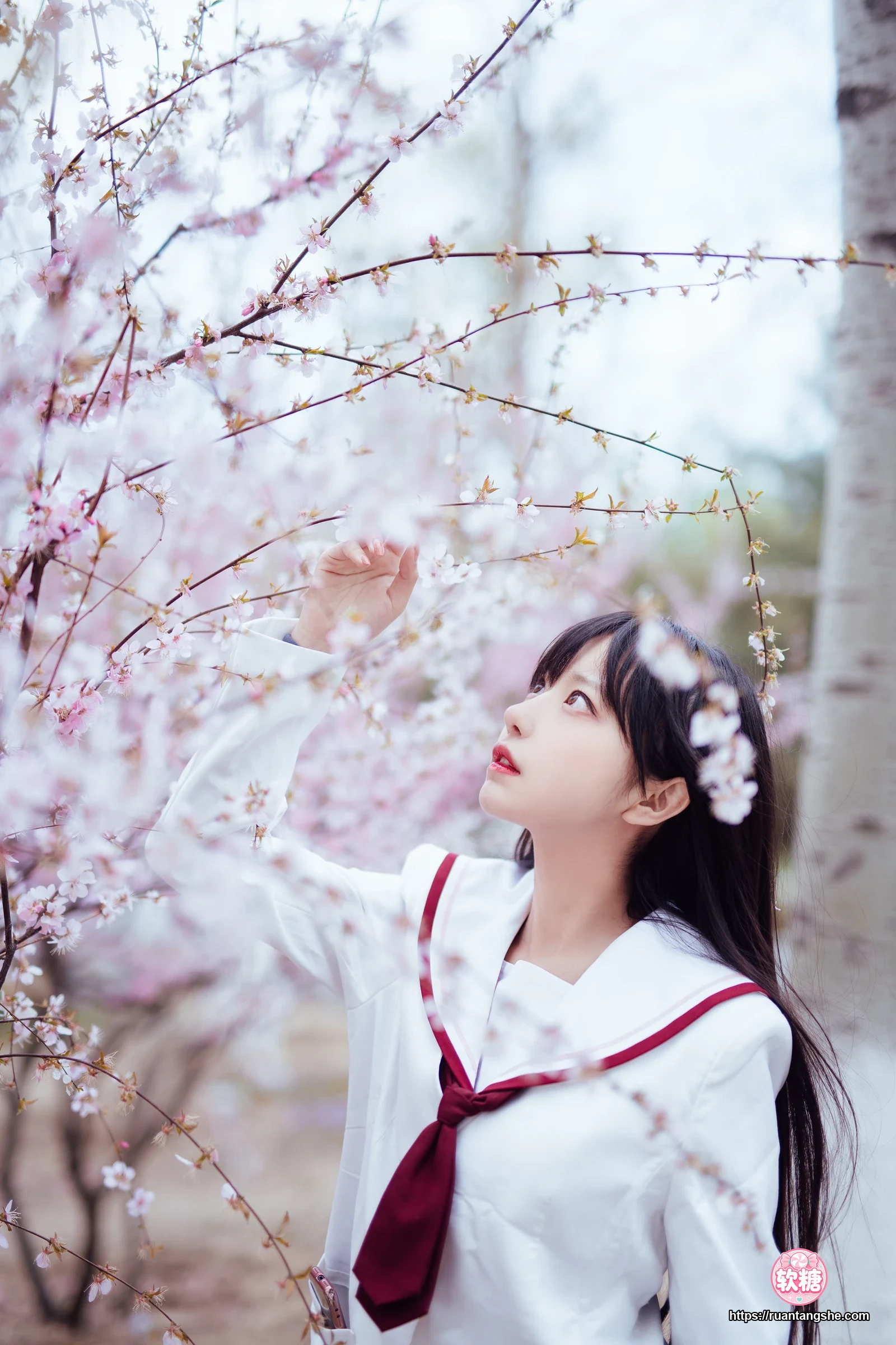 Shika小鹿鹿 Shika小鹿鹿 NO.49 - 樱花