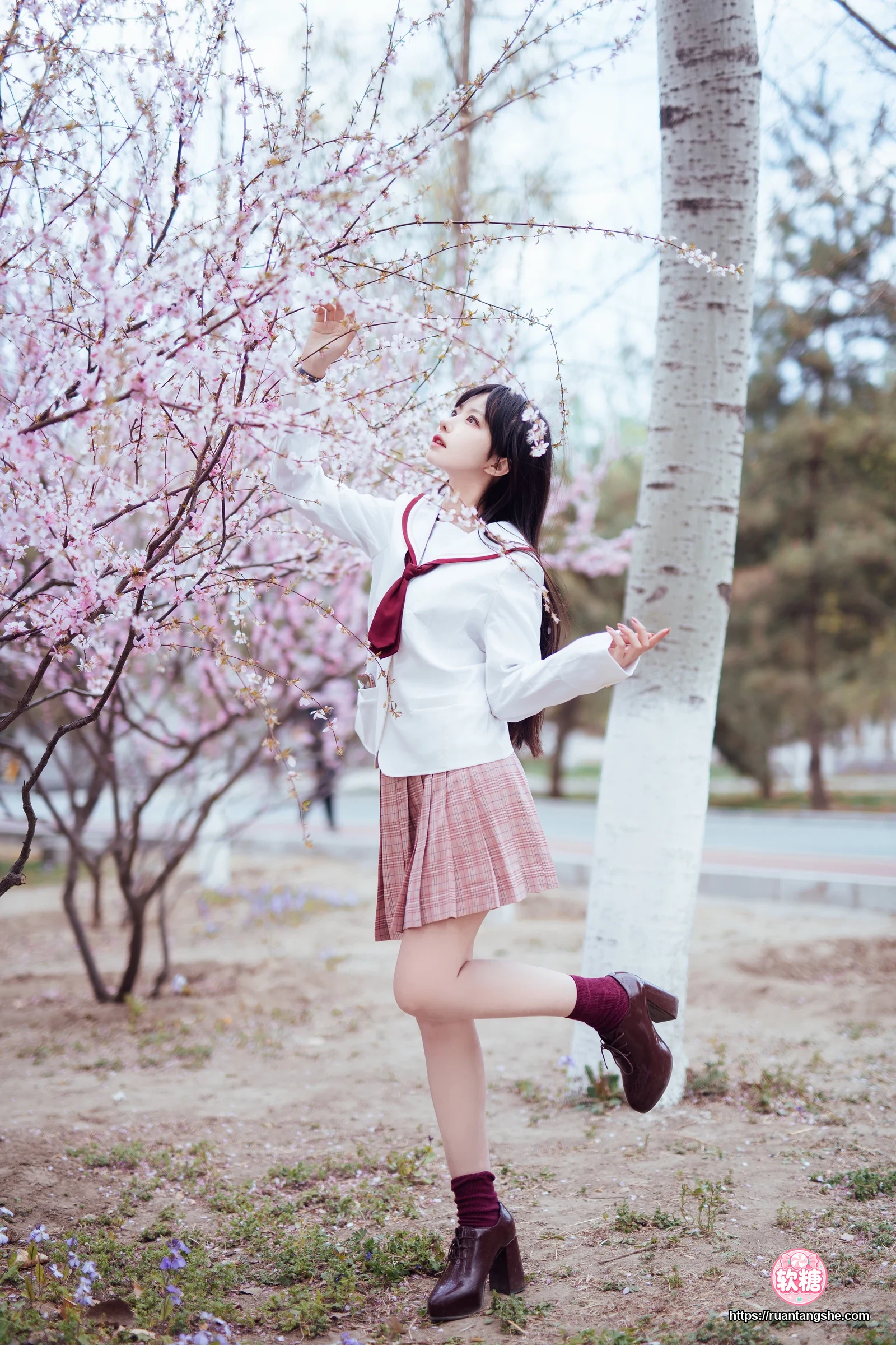 Shika小鹿鹿 Shika小鹿鹿 NO.49 - 樱花