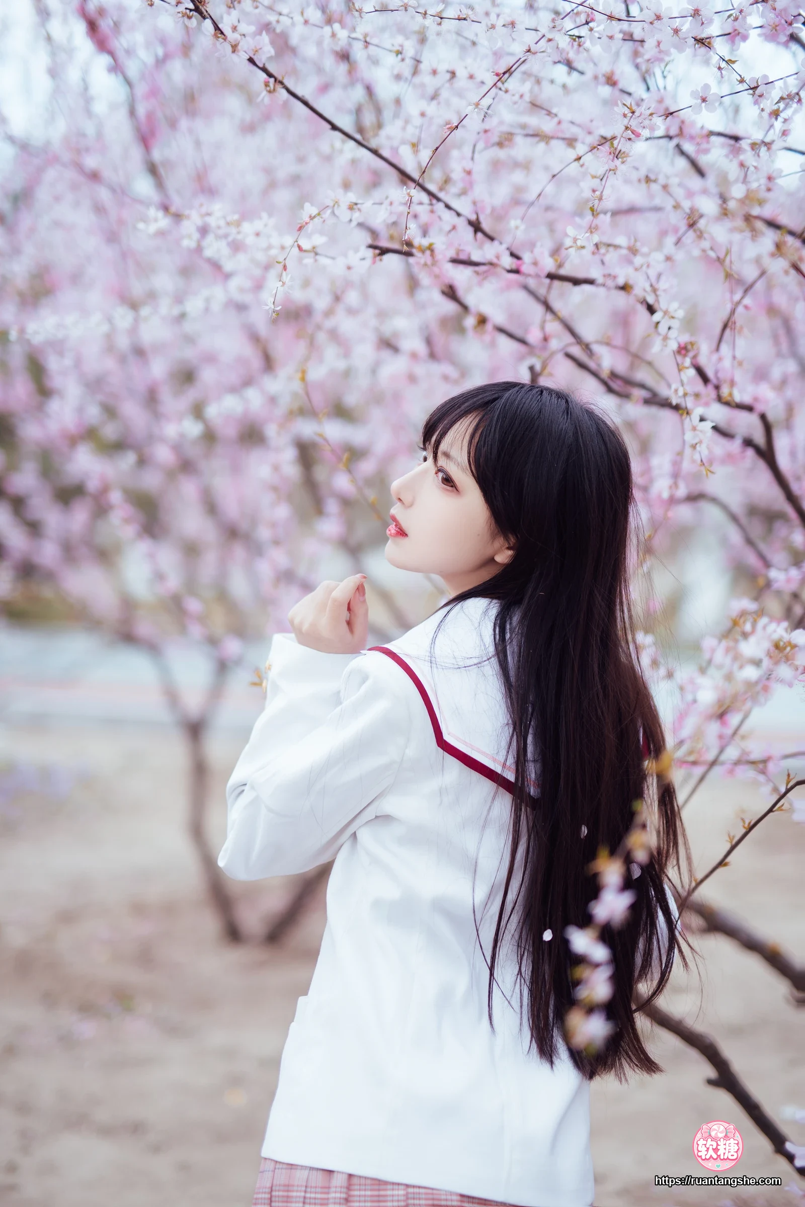 Shika小鹿鹿 Shika小鹿鹿 NO.49 - 樱花