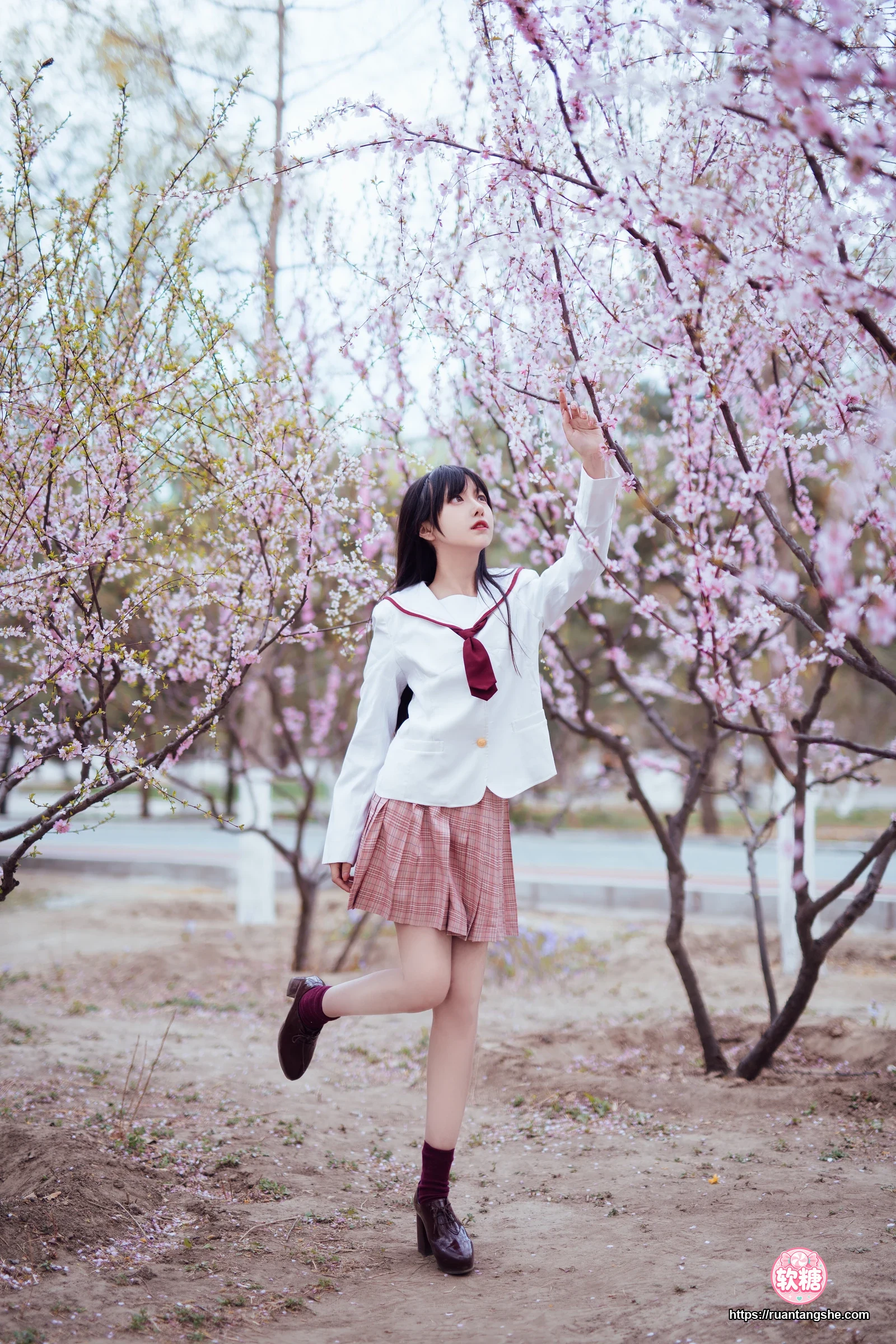 Shika小鹿鹿 Shika小鹿鹿 NO.49 - 樱花