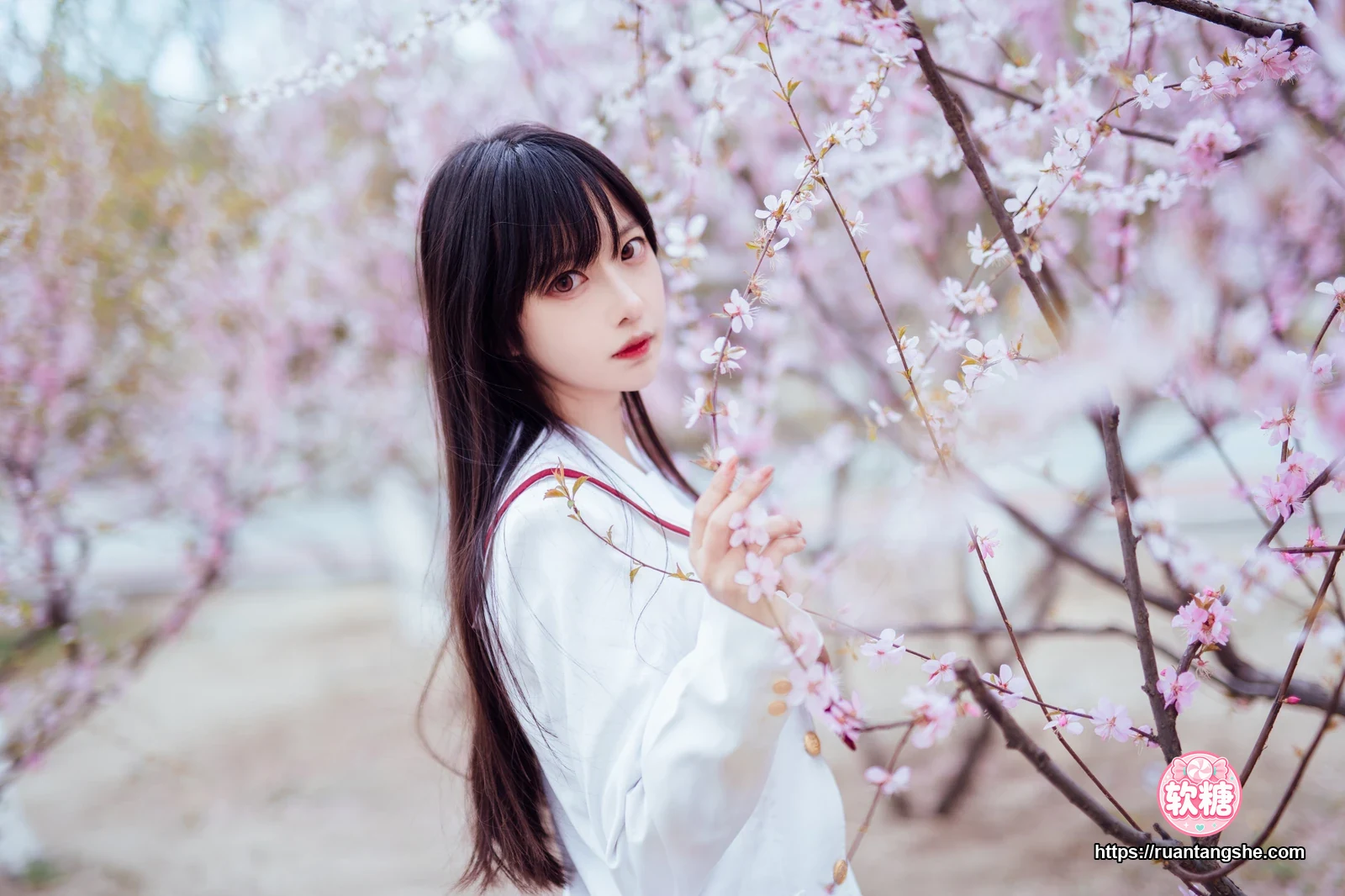 Shika小鹿鹿 Shika小鹿鹿 NO.49 - 樱花