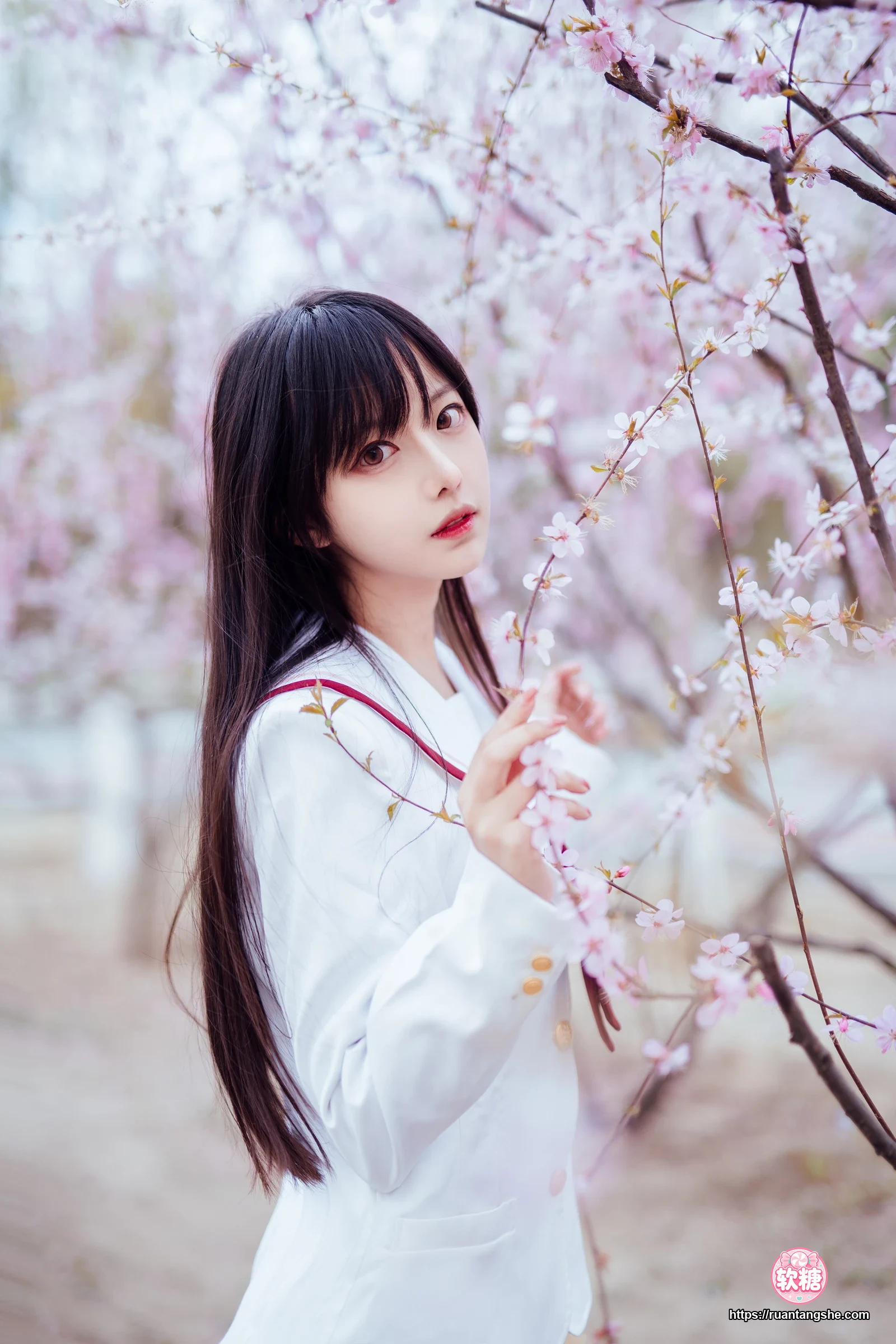 Shika小鹿鹿 Shika小鹿鹿 NO.49 - 樱花
