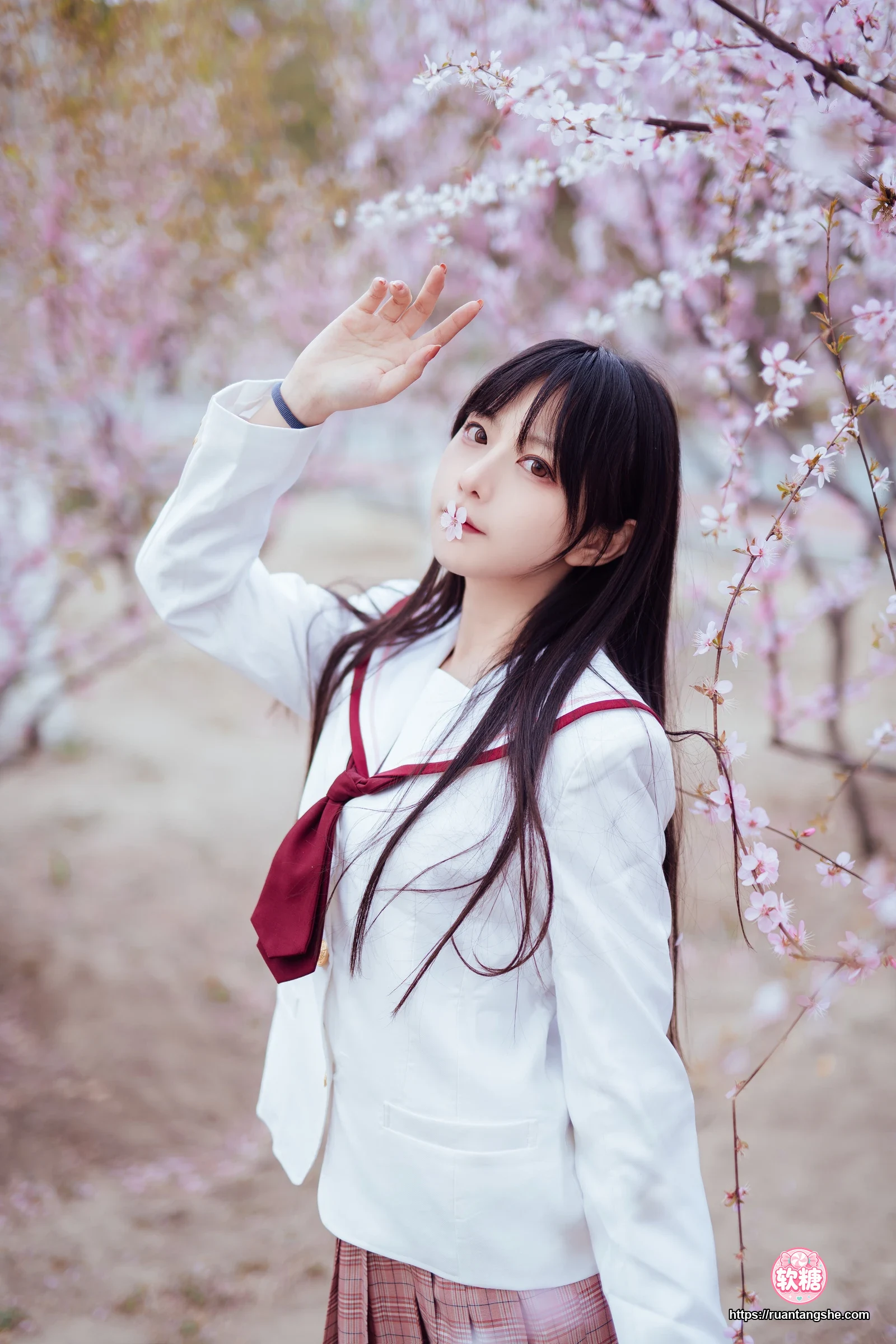 Shika小鹿鹿 Shika小鹿鹿 NO.49 - 樱花