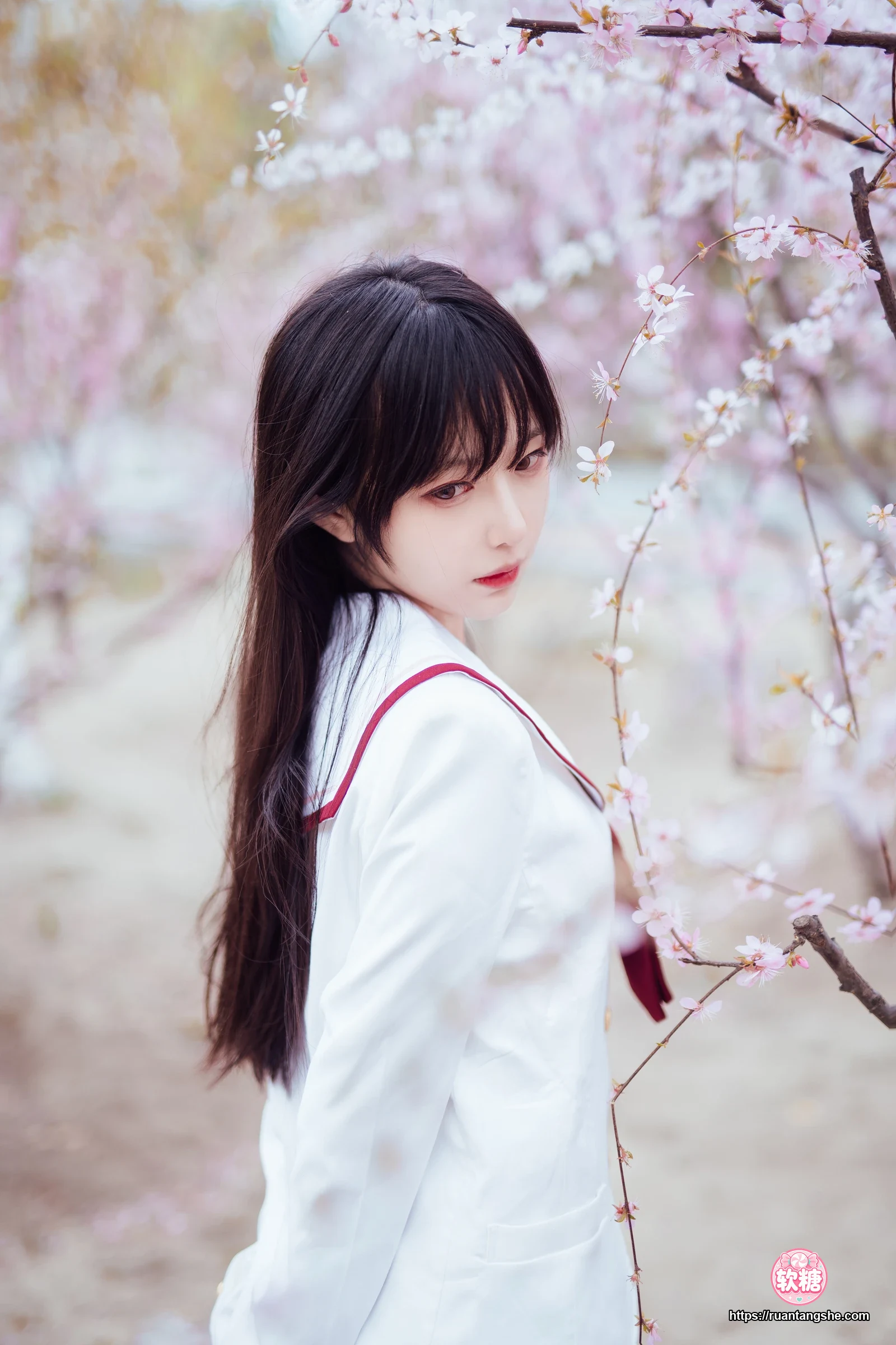 Shika小鹿鹿 Shika小鹿鹿 NO.49 - 樱花