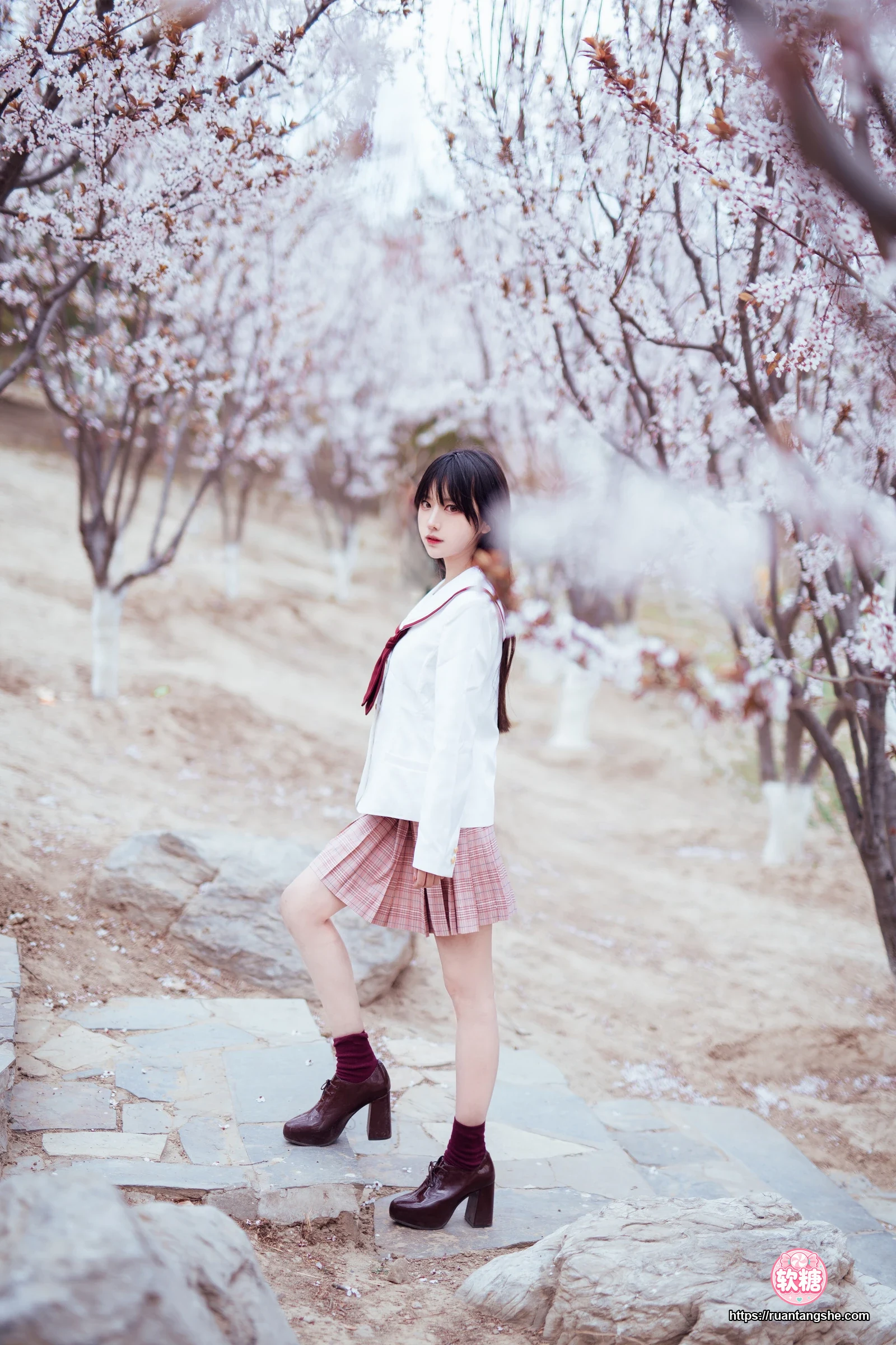 Shika小鹿鹿 Shika小鹿鹿 NO.49 - 樱花