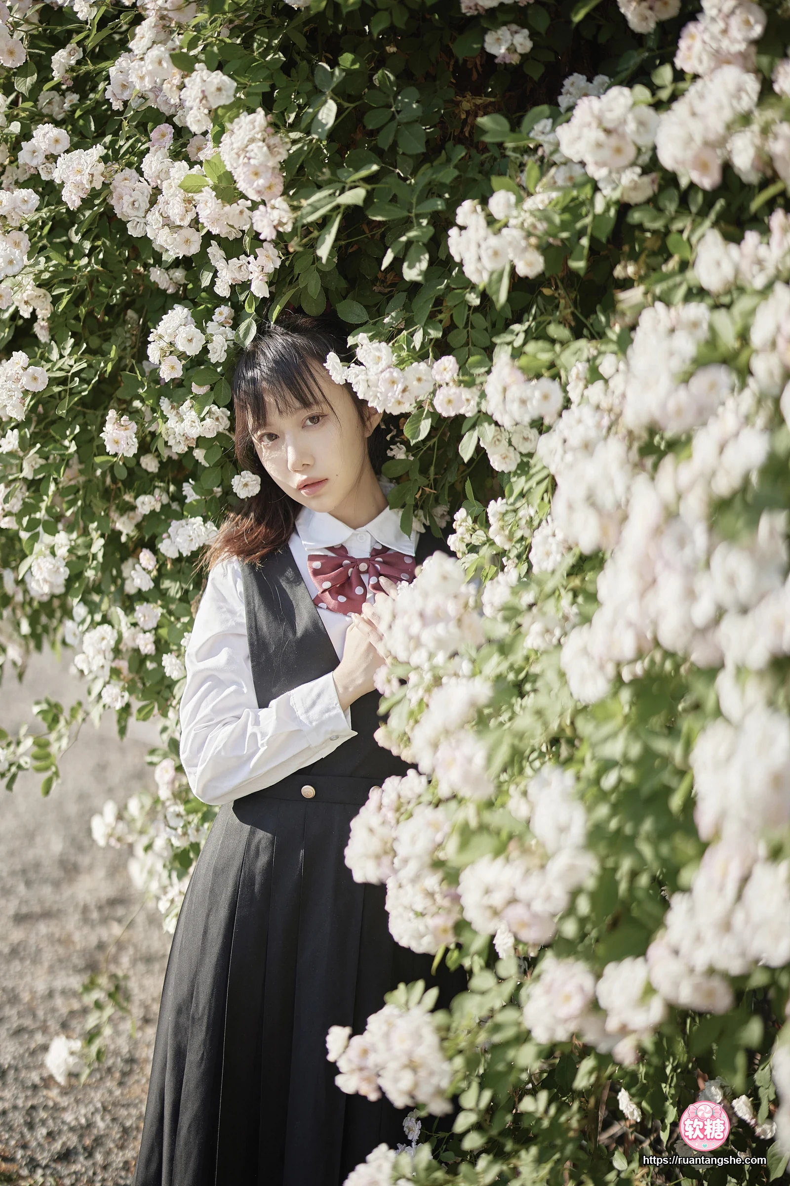 Shika小鹿鹿 Shika小鹿鹿 NO.81 - 蔷薇JK