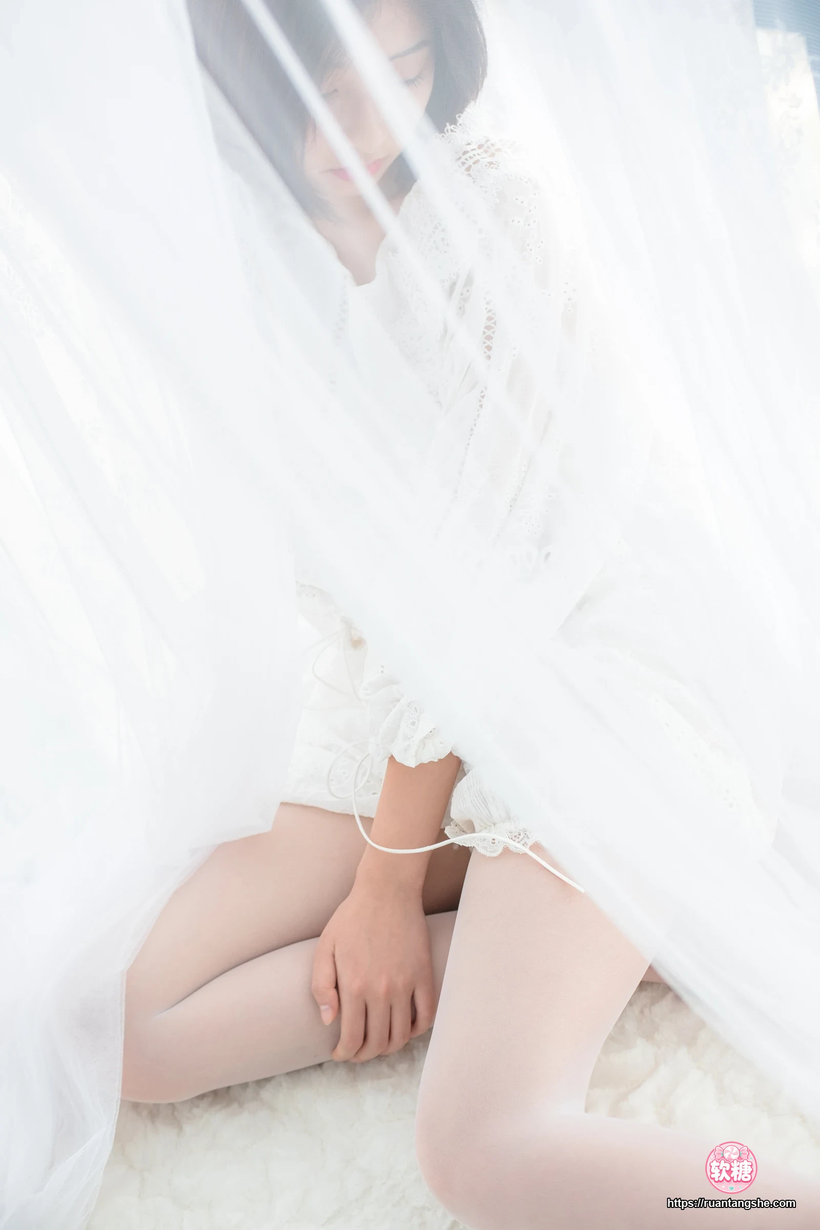 森萝财团 SSR-003