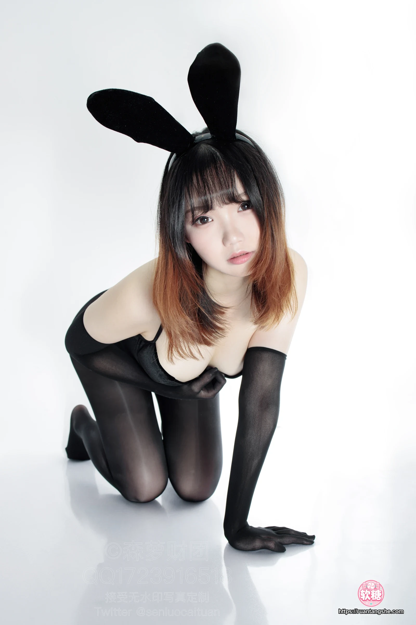 森萝财团 WTMSB-002