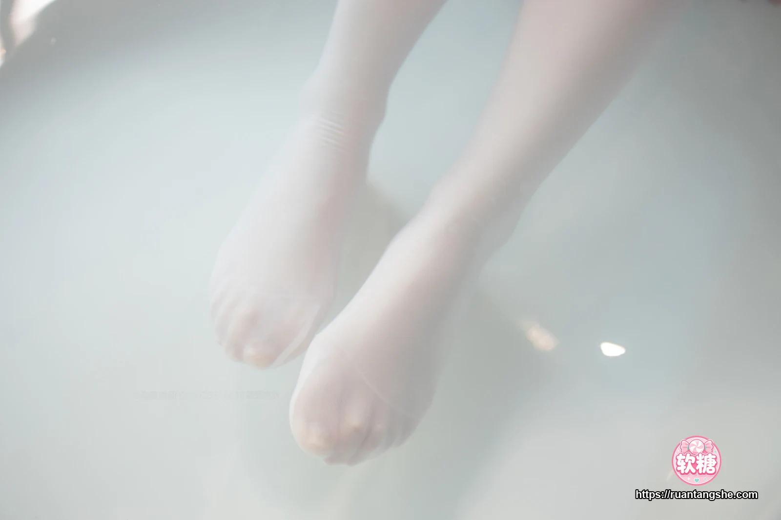 森萝财团 X-049